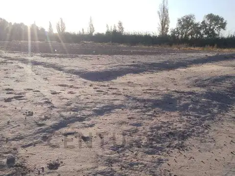 Barcala 1200, Piso 0