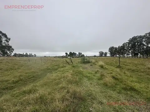 Campo de 6 Hectáreas a  metros de Ruta 6, San Vicente.