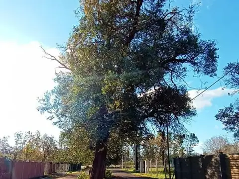 Terreno en Venta en Zarate, USD 20.000