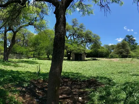 Terreno en Venta de 3120,0 m2