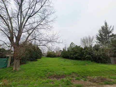 Sebastian el Cano 3000