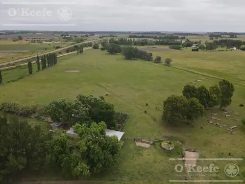 Chacra en venta 9 has en Chascomús - Ideal Emprendimiento Turístico
