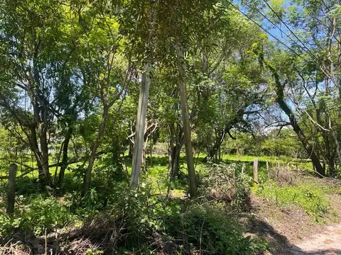 San Martin Y Colombia