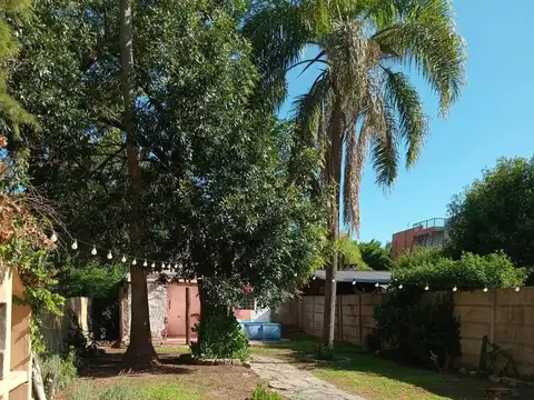 Calvo A 1800