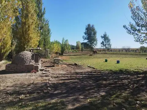 Venta de Finca en La Dormida, Santa Rosa, Mendoza
