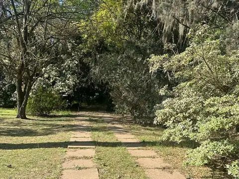 Terreno en Venta 82  mts Fondo