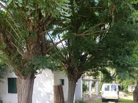 Casa en Alquiler A Estrenar