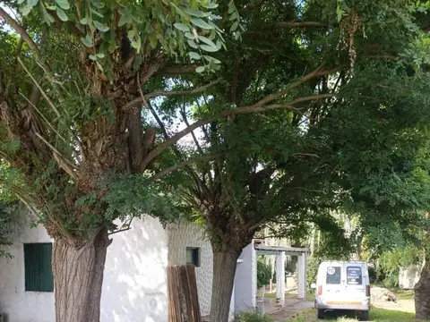 Casa en Alquiler al Norte