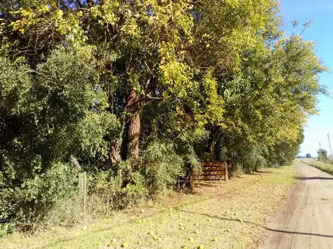 Terreno en Venta de 8000,0 m2