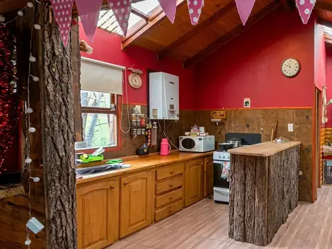 HERMOSA CABAÑA DE CON 3243 M2 DE BOSQUE NATIVO