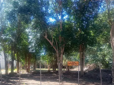 Terreno en Venta en Villa del Parque, USD 12.500