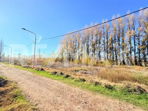 Terreno en Venta de 370,0 m2