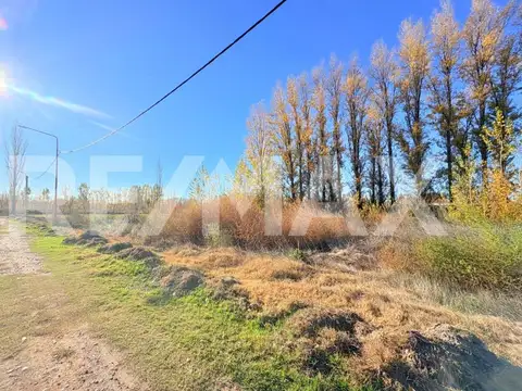 Terreno en Venta en Vista Alegre Norte, USD 12.500