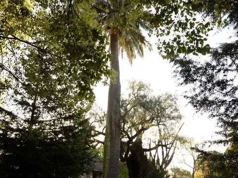 Lanus