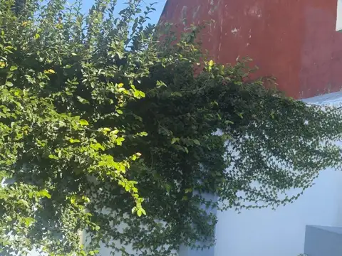 Depto Tipo Casa en Alquiler 46 años