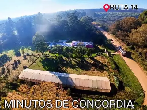 Quinta en Venta en Yuqueri, Concordia