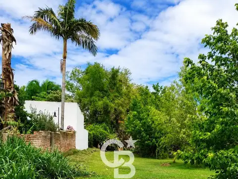 Terreno en Venta 44  mts Fondo