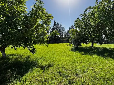 LOTE EN VENTA, CASA,GALPON,QUINCHO