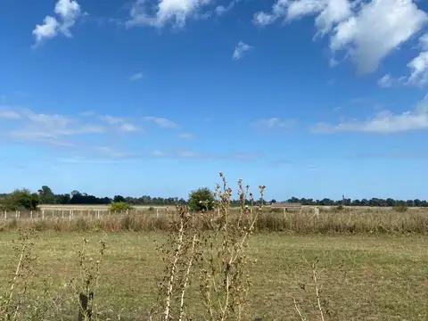 Terreno en Venta de 9050,0 m2