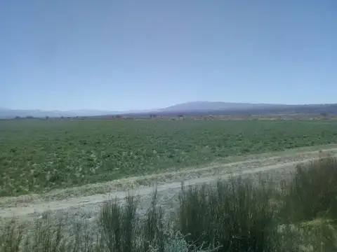 Terreno en Venta de 5200000,0 m2