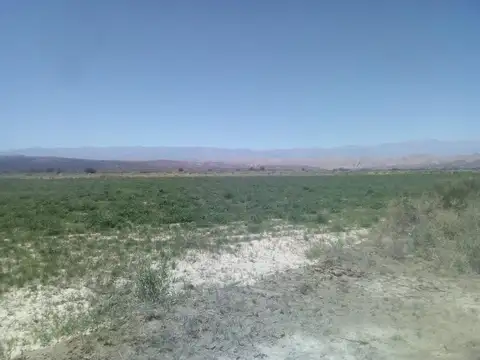 VENTA CAMPO BAJO JAGUE