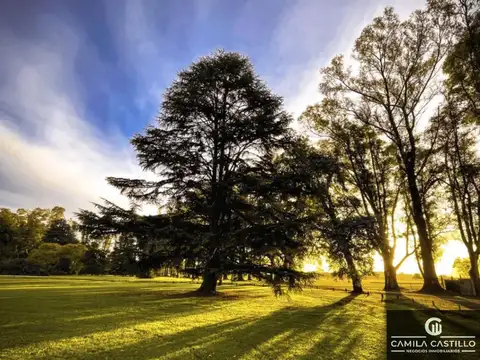 Terreno / Lote en venta de 2004m2 ubicado en Chacras de San Andrés