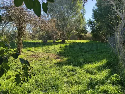 LOTE EN VENTA SAMBOROMBON BRANDSEN