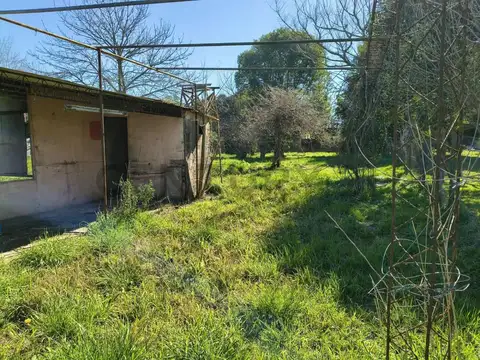 Las Palmeras y Las Acacias , Piso 0
