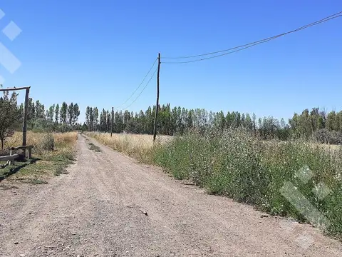 En Venta | Chacra en Allen | 6 Has