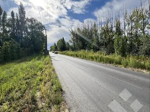 En Venta | Chacra en Allen | 6Has con Acceso a Ruta 65