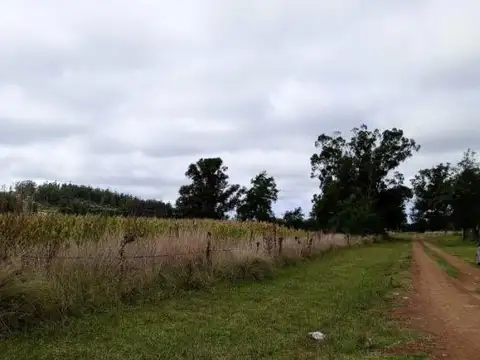 Camino Provincial 008-03