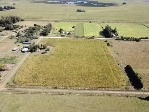 Camino Provincial 008-03