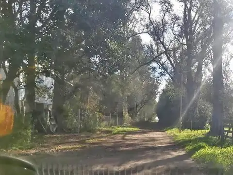 Terreno en venta - 1000Mts2 - Arturo Seguí, La Plata