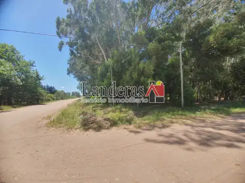 Excelente LOTE ARBOLADO - En Esquina