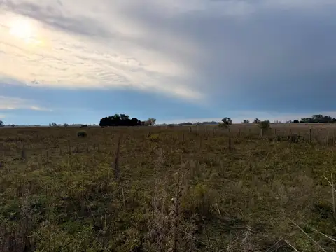 Ruta 8 Km
