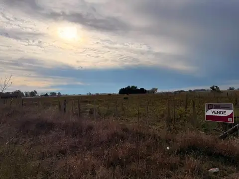Campo en Venta de 2  ha