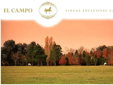 El Campo - Lote 161