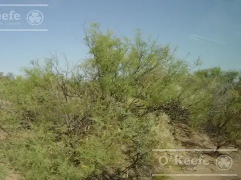Campo en venta de 2700 has Mendoza
