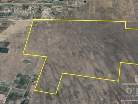 Campo en  venta de 2700 has mendoza