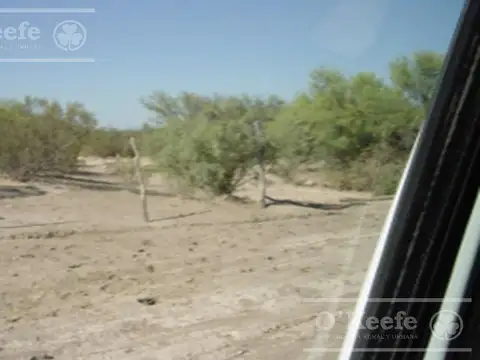Campo en  venta de 2700 has Mendoza