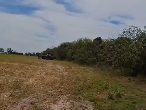 VENTA DE CAMPO GANADERO EN FELICIA