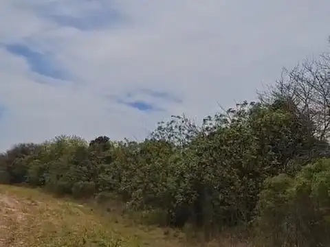 VENTA DE CAMPO GANADERO EN FELICIA