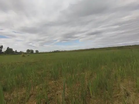 Terreno en Venta en El Sauce, USD 7.300