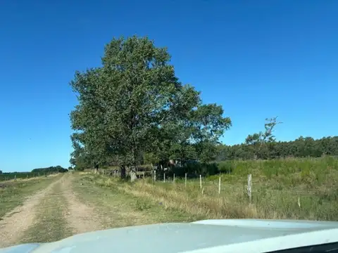 Campo de 9 has con arroyo y molino, muy pintorezco.