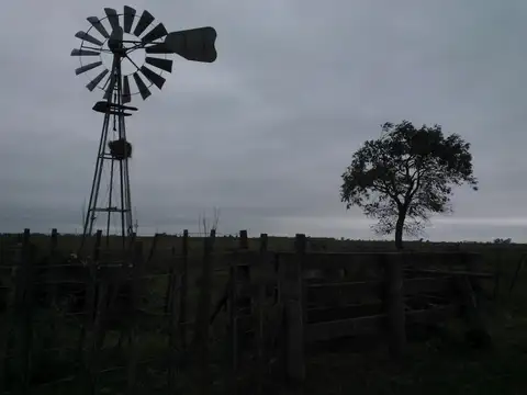 Campo en Venta de 1.500  ha