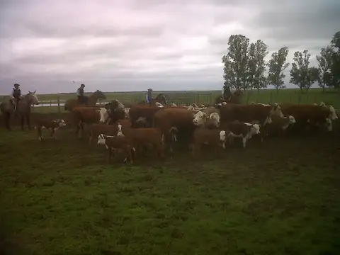 Sobre ruta 2 LOGROÑO