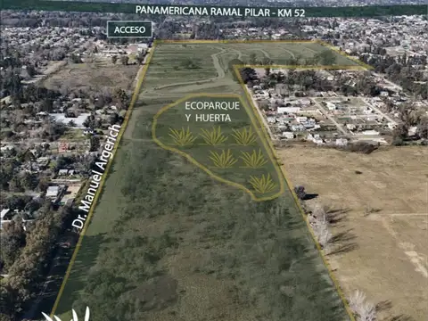 Dr.Manuel Argerich 1200