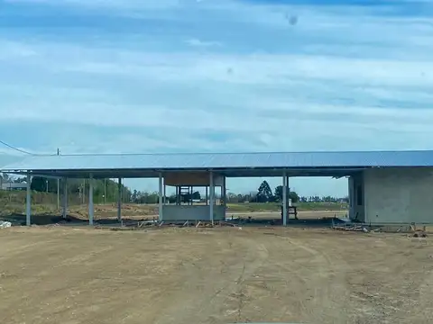 Dr.Manuel Argerich 1200