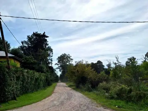 Terreno en Venta 12,34  mts Frente