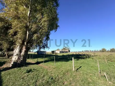 CAMPO VENTA 37 HECTAREAS GENERAL LAS HERAS